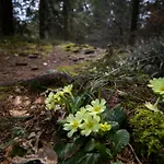 Holiday home House Pr' Ta Star Lip'